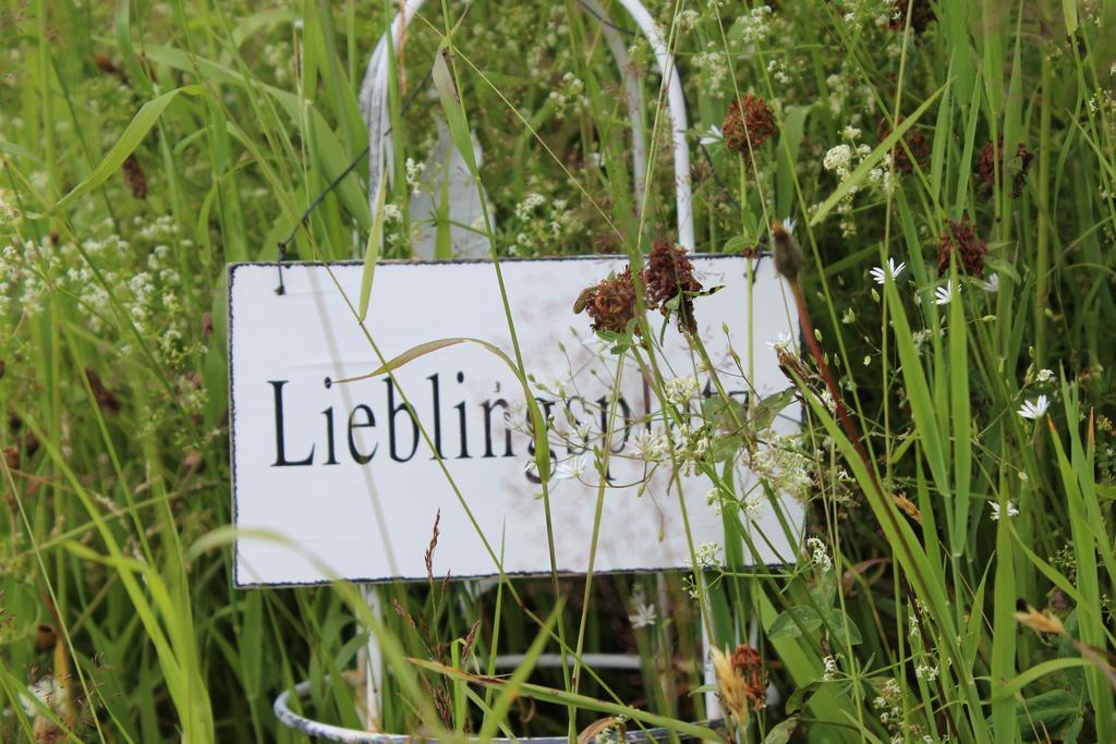 Bergseele Privat- & Retreathotel Schwarzwald Тодтнауберг Екстериор снимка